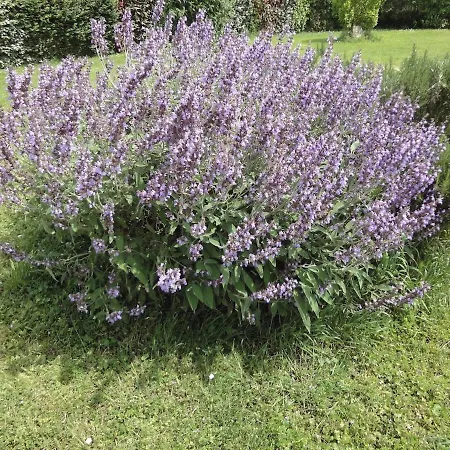 Du Puits De La Barre בית נופש *