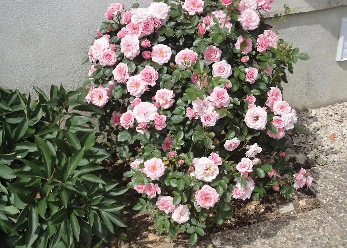 Сasa de vacaciones Du Puits De La Barre Fontivillie