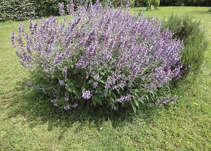 Du Puits De La Barre Сasa de vacaciones *