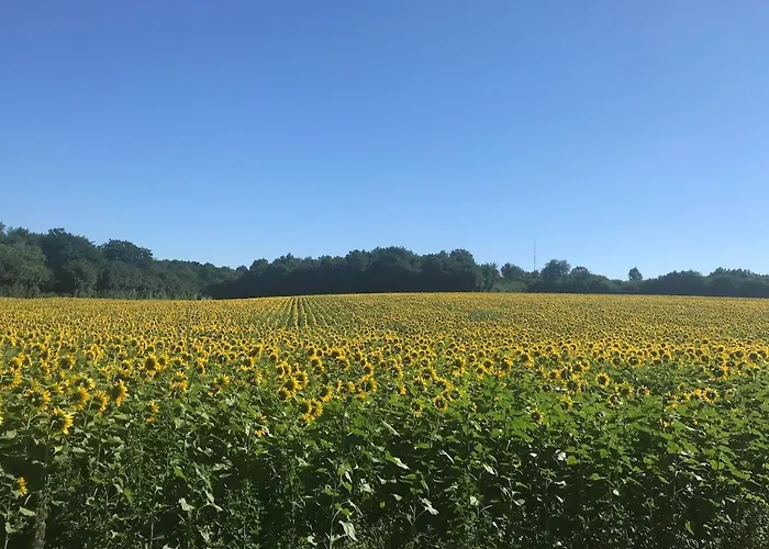 Сasa de vacaciones Du Puits De La Barre